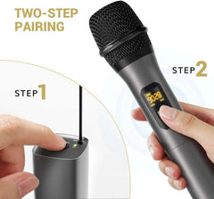 Hayden HY-59 Double Wireless Microphones(Dual)-Taal Musicals