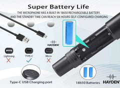 Hayden HY-59 Double Wireless Microphones(Dual)-Taal Musicals