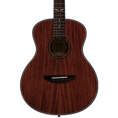 Acoustic guitar with a dark brown