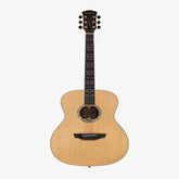 Acoustic guitar on a white background