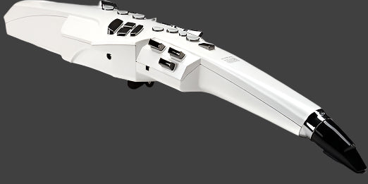 Roland AE-10 Aerophone Digital Wind Instrument - Taal Musicals