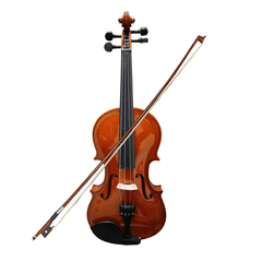 Dolphin Violin IN- DV001 4/4 Size-Taal Musicals