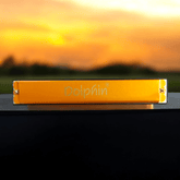 DOLPHIN HARMONICA 24HOLE Gold – Taal Musicals