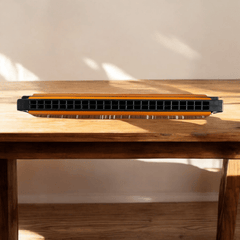 DOLPHIN HARMONICA 24HOLE Gold – Taal Musicals