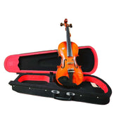 Raga Violin VSP120 S5 with Hard Case (5 Strings) - Taal Musicals