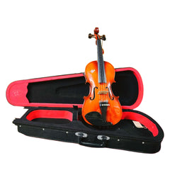 Raga Violin VSP120 S5 with Hard Case (5 Strings) - Taal Musicals
