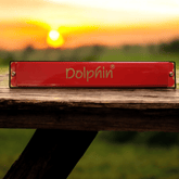 DOLPHIN HARMONICA 24HOLE RED - Taal Musicals