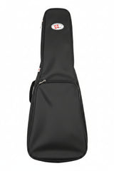 RAGA VIOLIN-1 BOX.