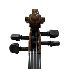 Stentor 1016A Student Violin Outfit 4/4 Full Size with Bow & Case | Taal Musicals