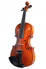 VIOLIN RAGA 5STRING-1