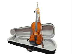 Dolphin Violin IN- DV001 4/4 Size-Taal Musicals