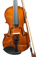Dolphin Violin IN- DV001 4/4 Size-Taal Musicals