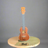 Kaps Ukulele – Taal Musicals