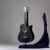 Acoustic Guitar Dolphin Black Bundle Pack– Taal Musicals