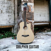 Acoustic Guitar Dolphin Natural Wood Bundle Pack – Taal Musicals