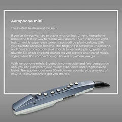 Roland AE-01 Aerophone Mini Digital Wind Instrument - Taal Musicals