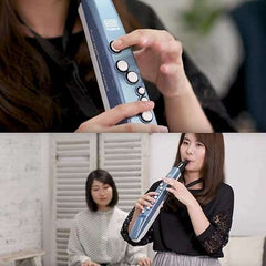 Roland AE-01 Aerophone Mini Digital Wind Instrument - Taal Musicals