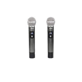 Two wireless microphones