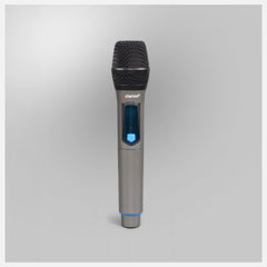 CLARION MIC