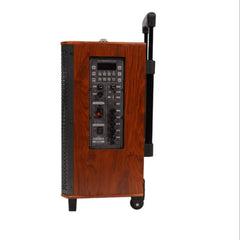 clarion wooden speaker