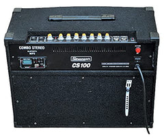 Stranger CS100 Combo Stereo Amplifier – Taal Musicals