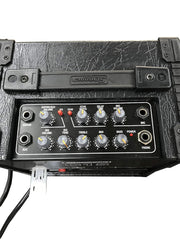 STRANGER Cube C15 Guitar/Keyboard Amplifier – Taal Musicals