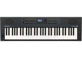 Roland GO:KEYS 3 IN – 61-Key Music Creation Keyboard (India Edition)