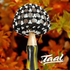 Umbrella shaped Kabakas Percussion - Taal Musicals