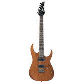 Ibanez RG421 Electric Guitars - Taal Musicals