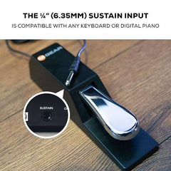 M-Audio SP-2 Universal Sustain Pedal for Keyboards and Midi and Piano - Taal Musicals