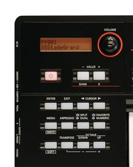 Roland XPS-10 Expandable Synthesizer Pro Keyboard(Black)