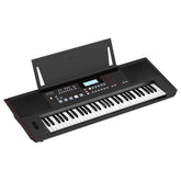 Roland The E-X50 ARRANGER KEYBOARD