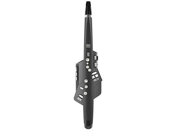 Roland Aerophone AE-10G Digital Wind Instrument - Taal Musicals