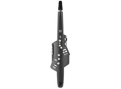 Roland Aerophone AE-10G Digital Wind Instrument - Taal Musicals