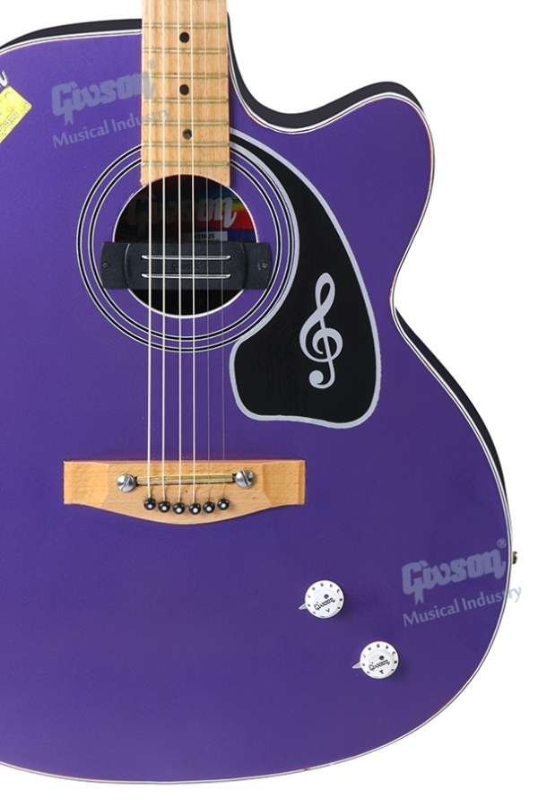 Givson Guitar Venus Super Special (Cut-A-Way With Pick Up) – Taal Musicals