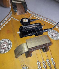 Supreme Musicals (Veena Pick up) Version 2.0 – Taal Musicals