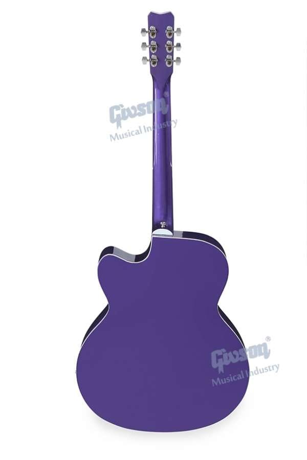 Givson Guitar Venus Super Special (Cut-A-Way With Pick Up) – Taal Musicals