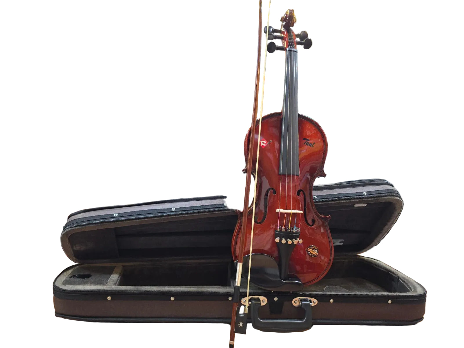 5 STRING VIOLIN -3