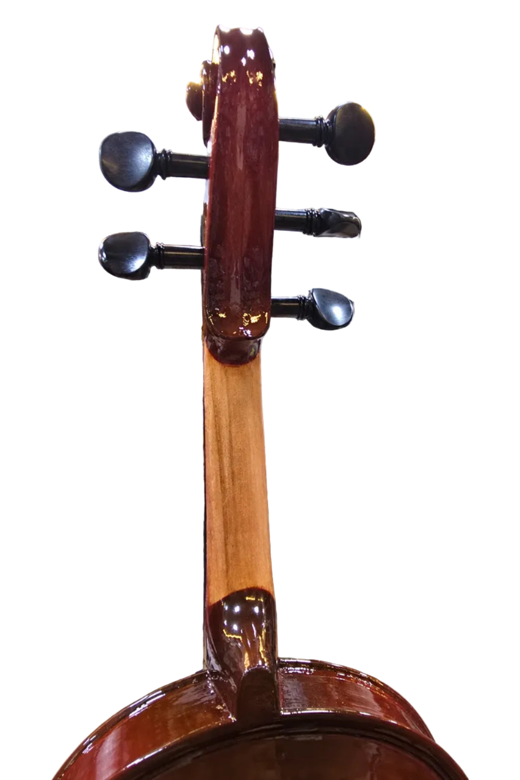 5 STRING VIOLIN 4