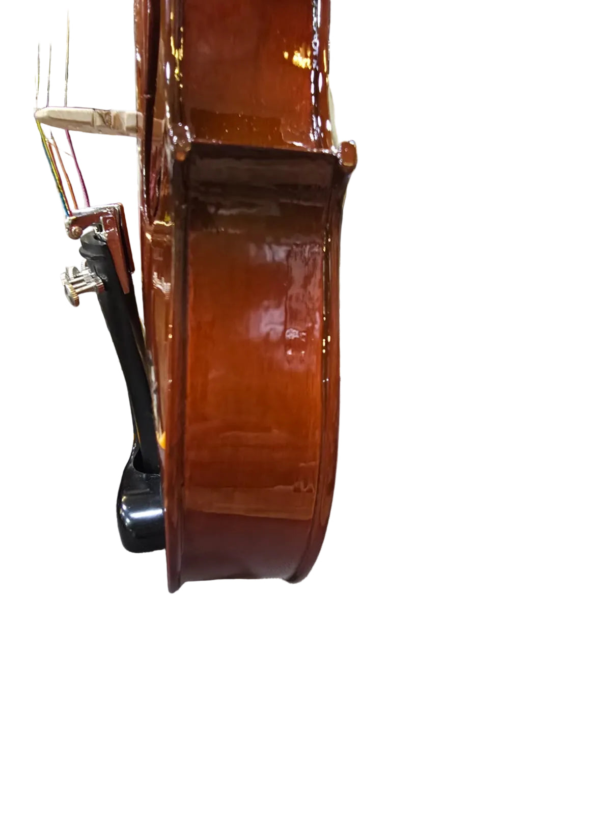 5 STRING VIOLIN 6