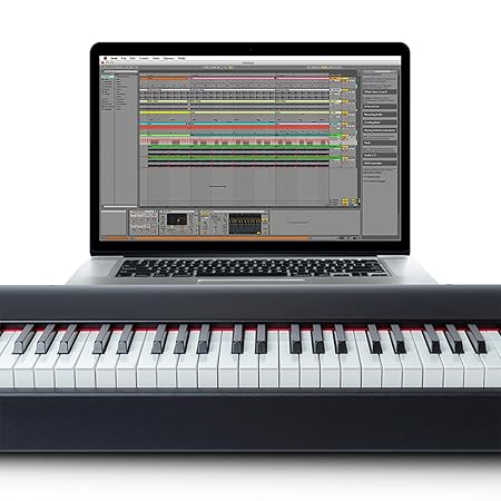 M-Audio Hammer 88 MIDI Keyboard - Taal Musicals