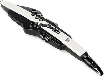 Roland Digital Wind Instrument (AE-20) - Taal Musicals