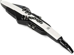 Roland Digital Wind Instrument (AE-20) - Taal Musicals