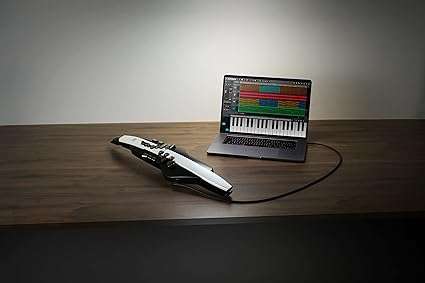 Roland Digital Wind Instrument (AE-20) - Taal Musicals