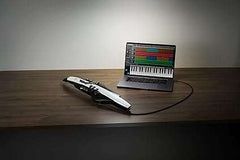 Roland Digital Wind Instrument (AE-20) - Taal Musicals