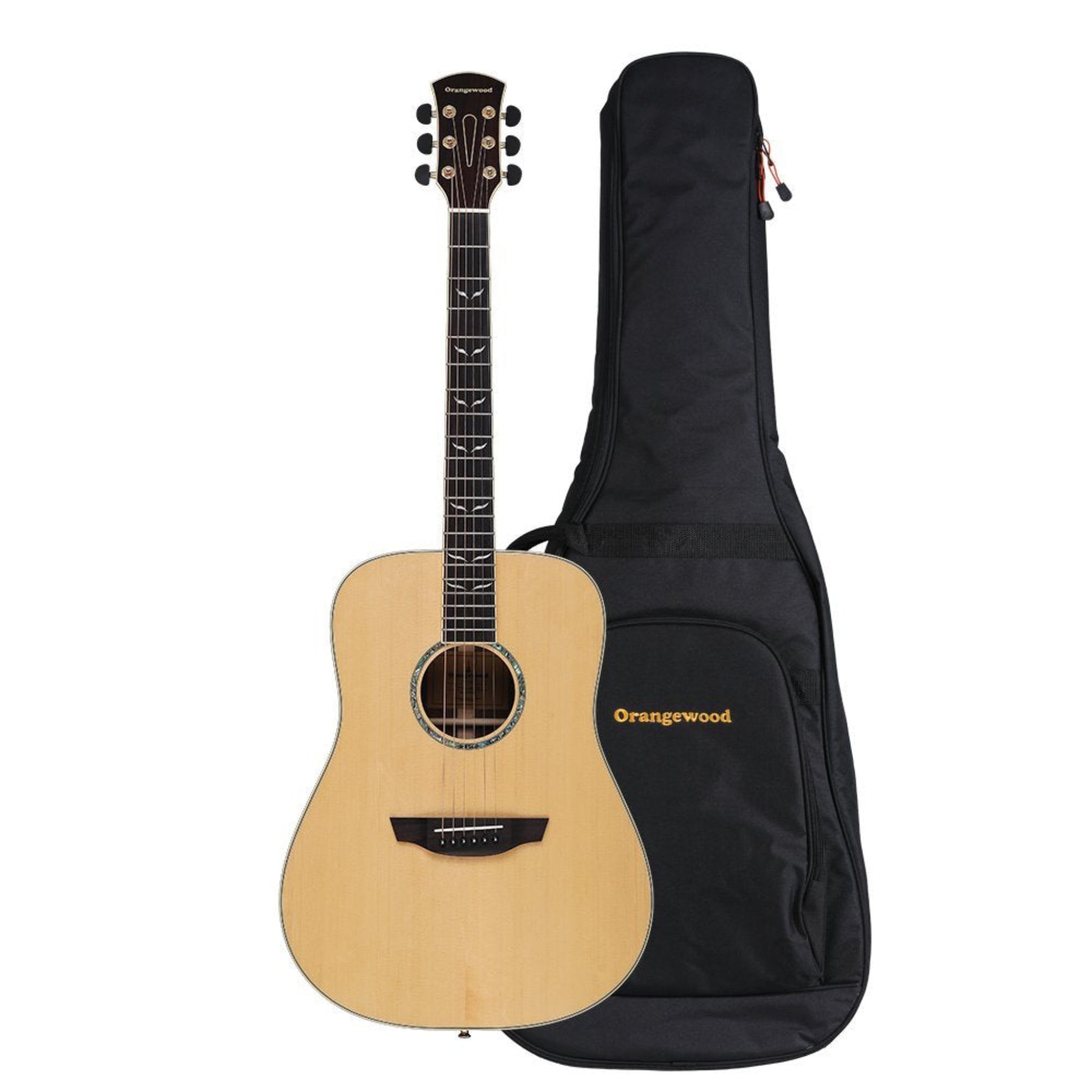 Acoustic guitar with a black carrying case 