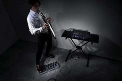Roland Aerophone Pro Digital Wind Instrument (AE-30) - Taal Musicals
