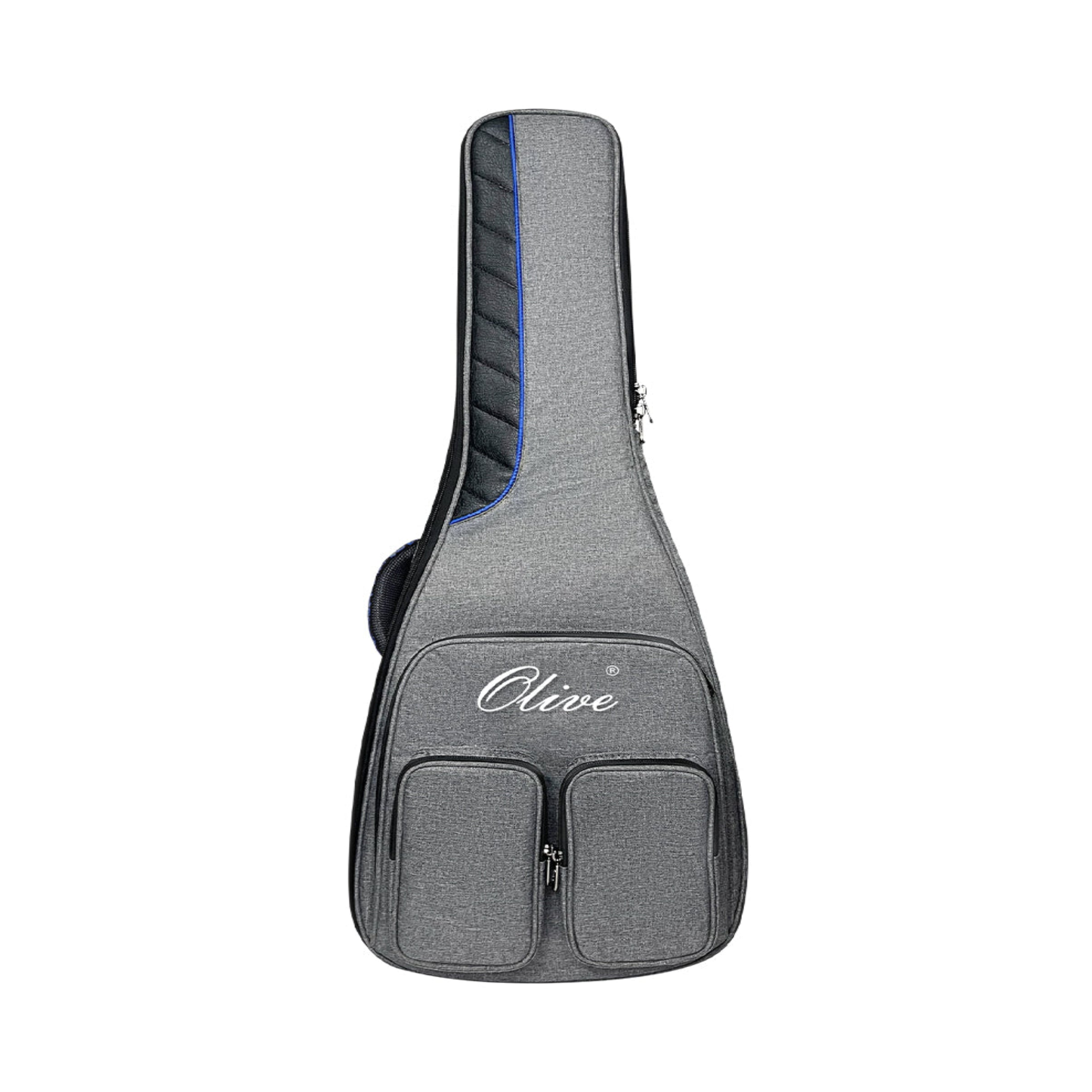 Gray guitar case with olive 
