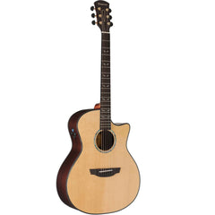 Acoustic guitar with a cutaway 