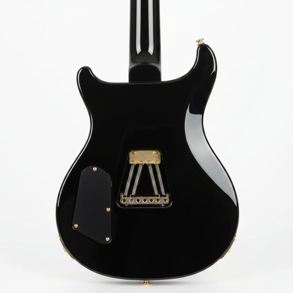 PRS 509 ELECTRIC GUITAR BACKSIDE
